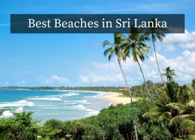 Beach Bliss: Unveiling Coastal Escapes with 6 Best Beaches in Sri Lanka